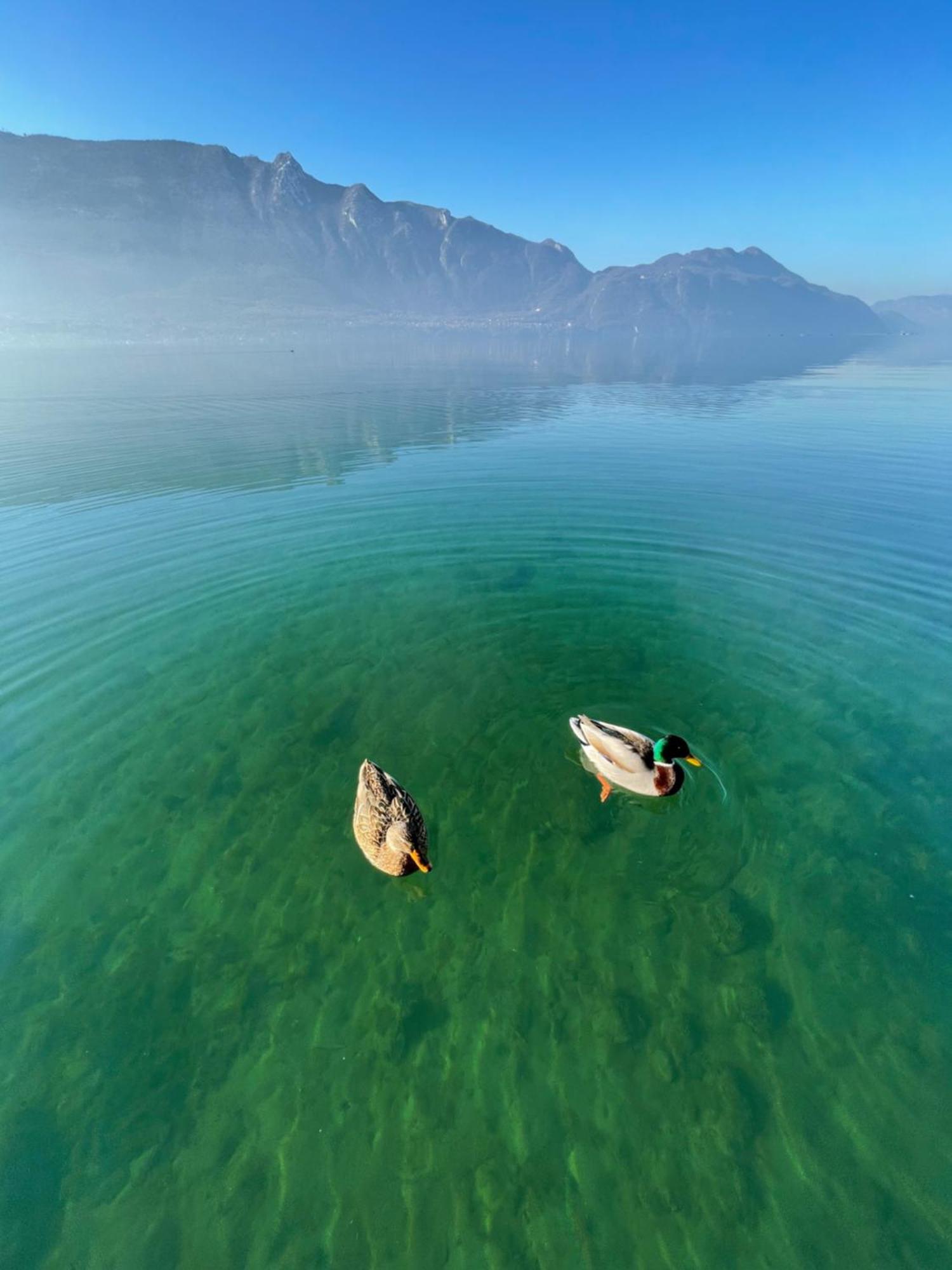 “L'Escapade”, Entre Lac Et Montagne Saint-Alban  Esterno foto